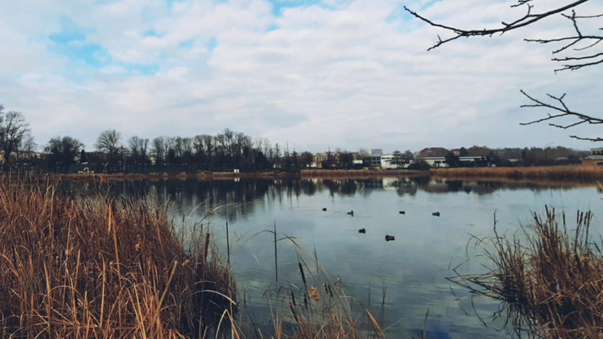 xr:d:DAFn2dMxCAk:124,j:2631624463908712251,t:23071309