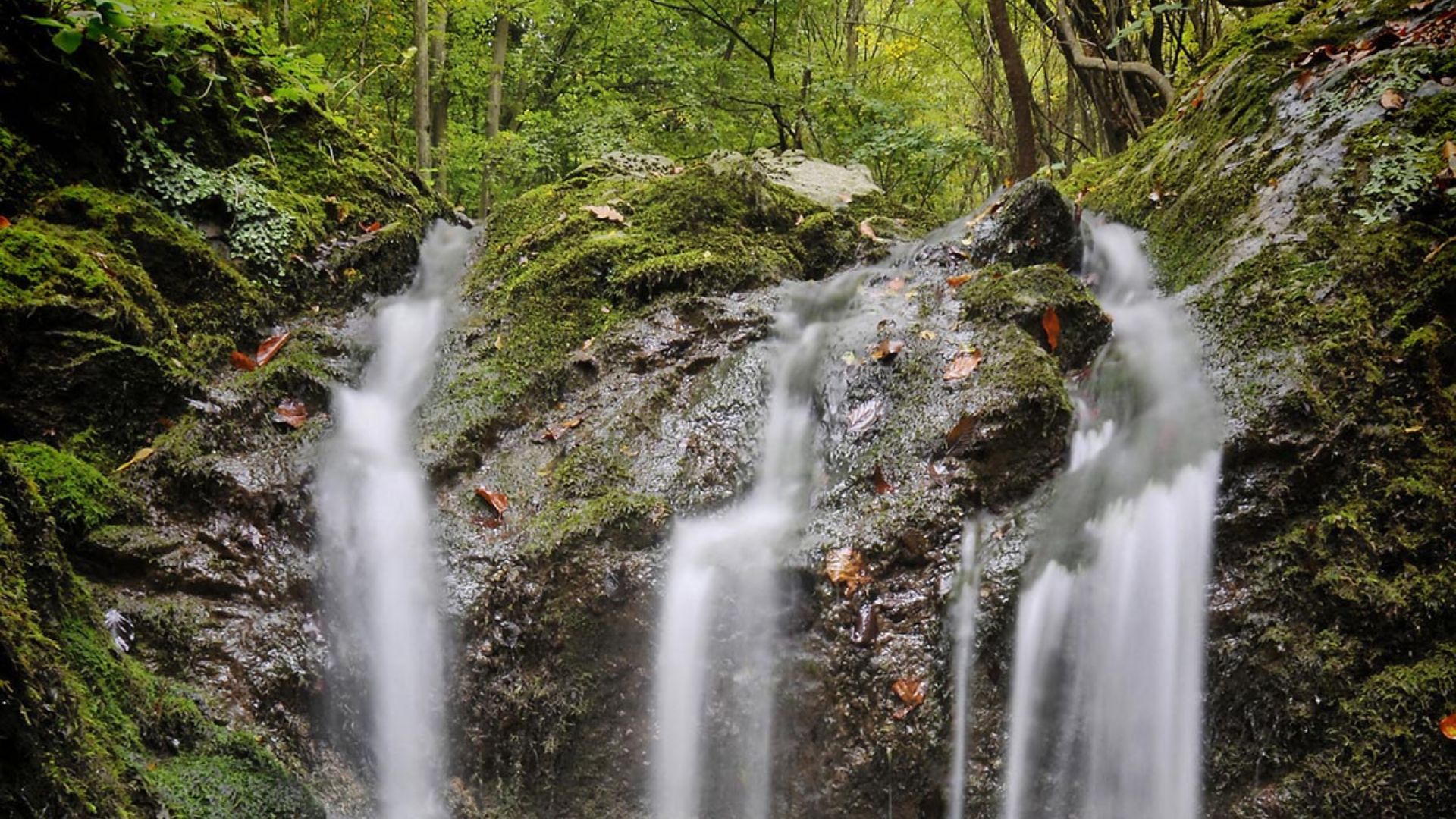 xr:d:DAFn2dMxCAk:133,j:659047827676772965,t:23071309