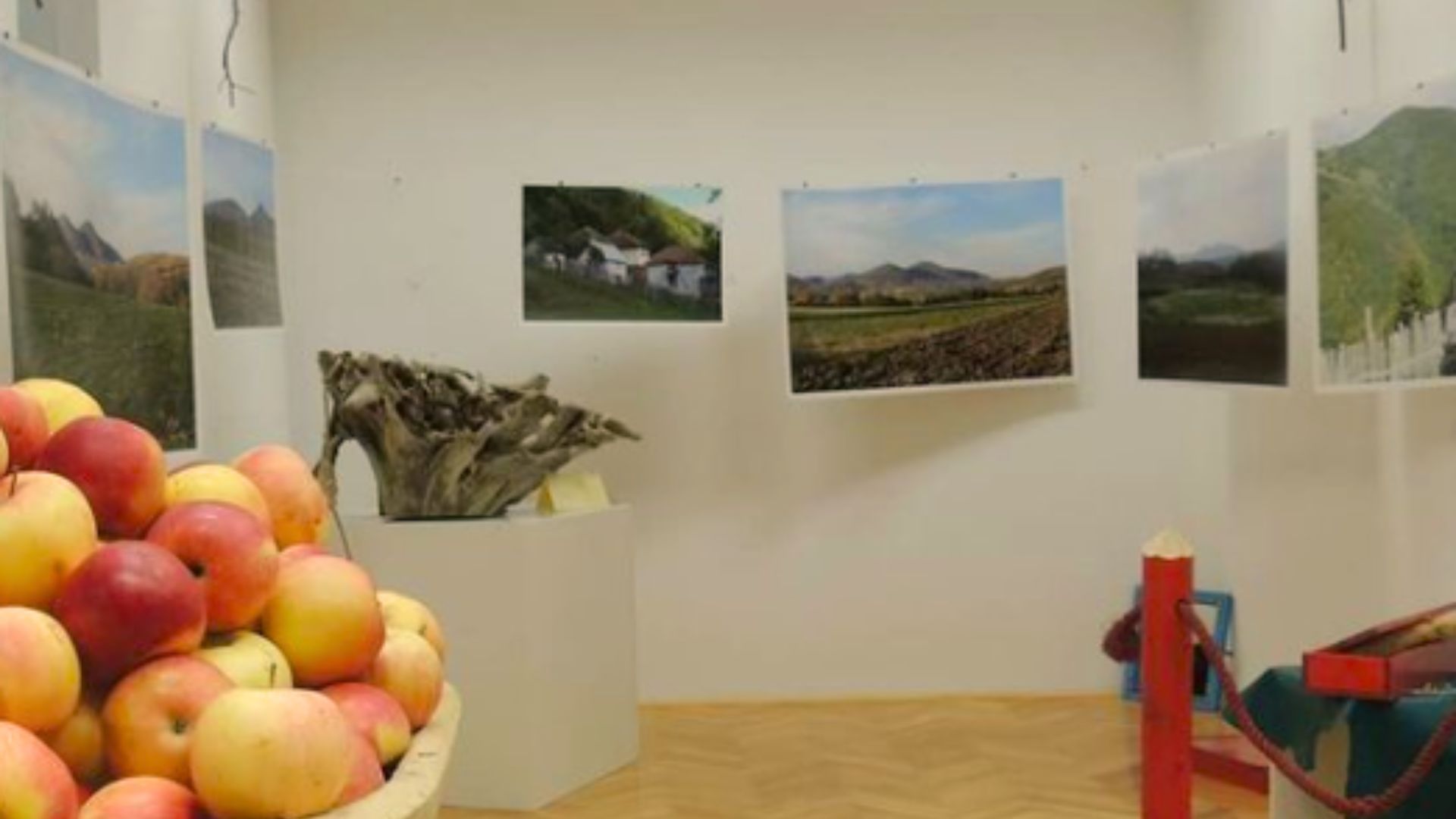 xr:d:DAFn2dMxCAk:213,j:6188342678876420119,t:23071709