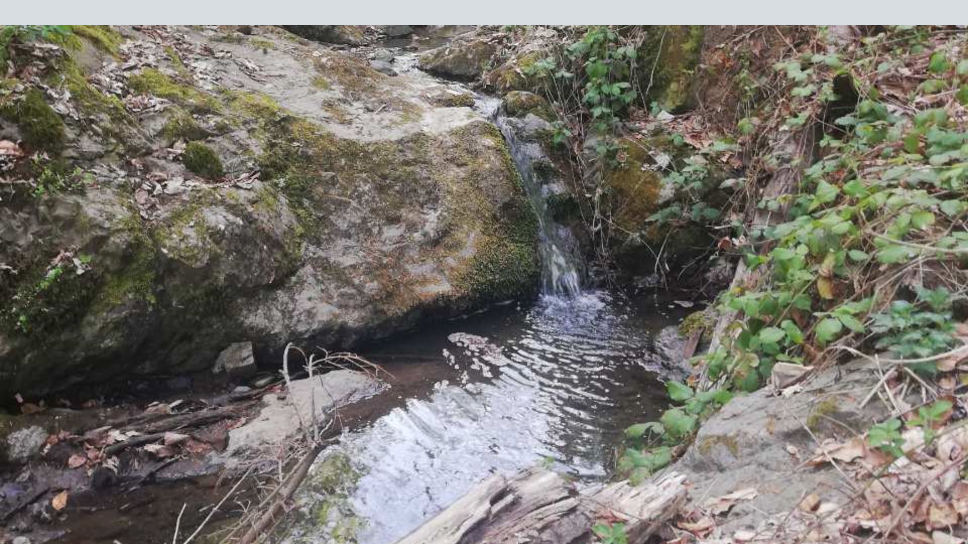 xr:d:DAFn2dMxCAk:133,j:659047827676772965,t:23071309