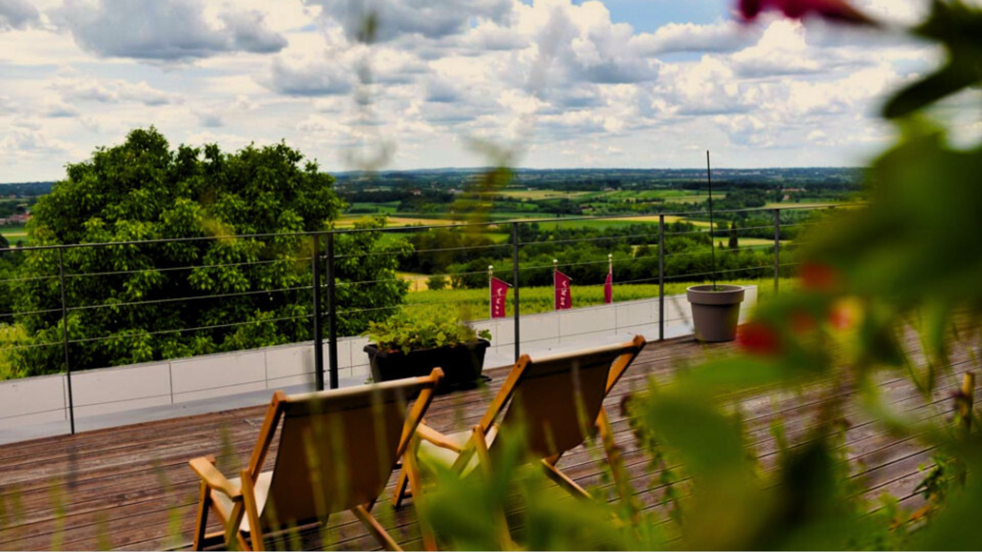 xr:d:DAFn2dMxCAk:195,j:2401940995203567812,t:23071411