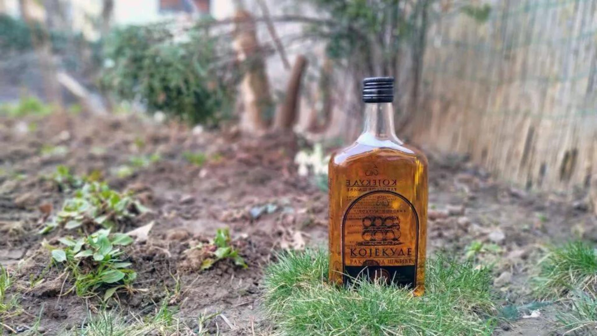 xr:d:DAFn2dMxCAk:399,j:3366841122221380378,t:23082109