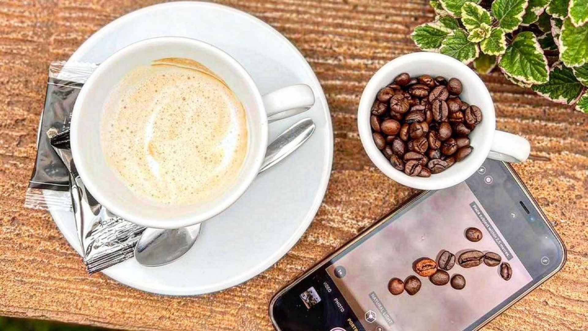 xr:d:DAFn2dMxCAk:273,j:820052120931287586,t:23071907