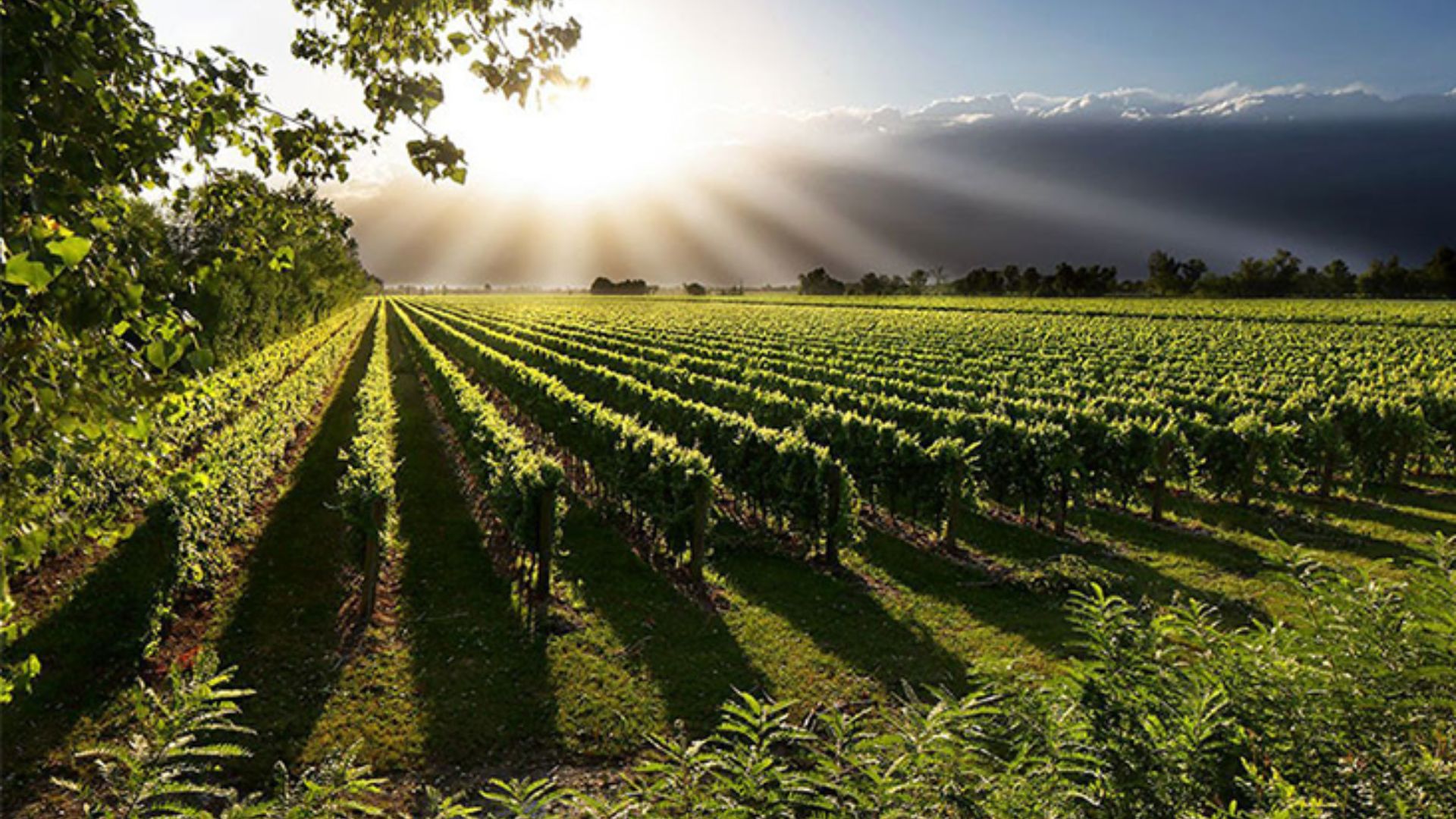 xr:d:DAFn2dMxCAk:190,j:5248215954005247038,t:23071410