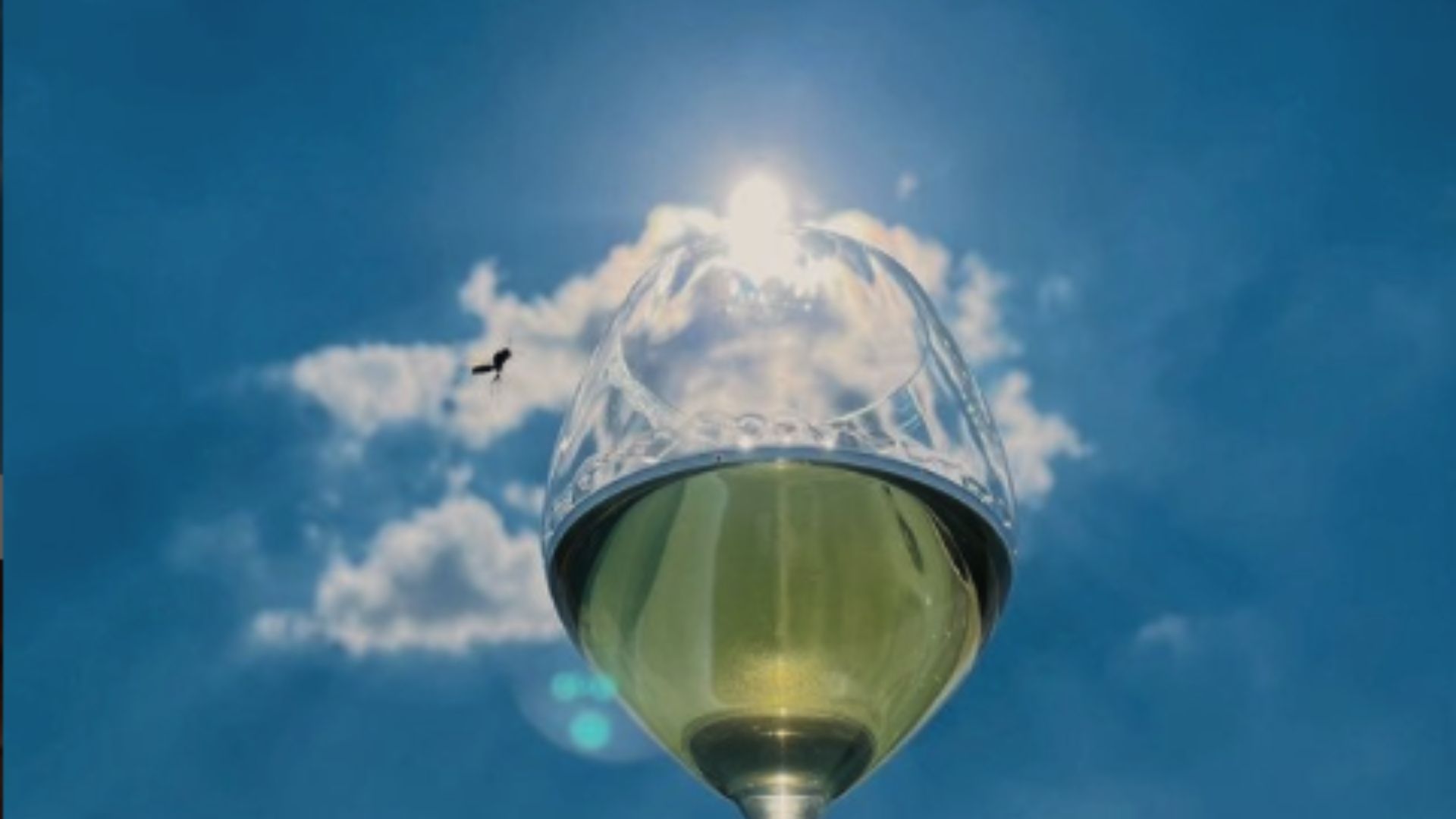 xr:d:DAFn2dMxCAk:195,j:2401940995203567812,t:23071411