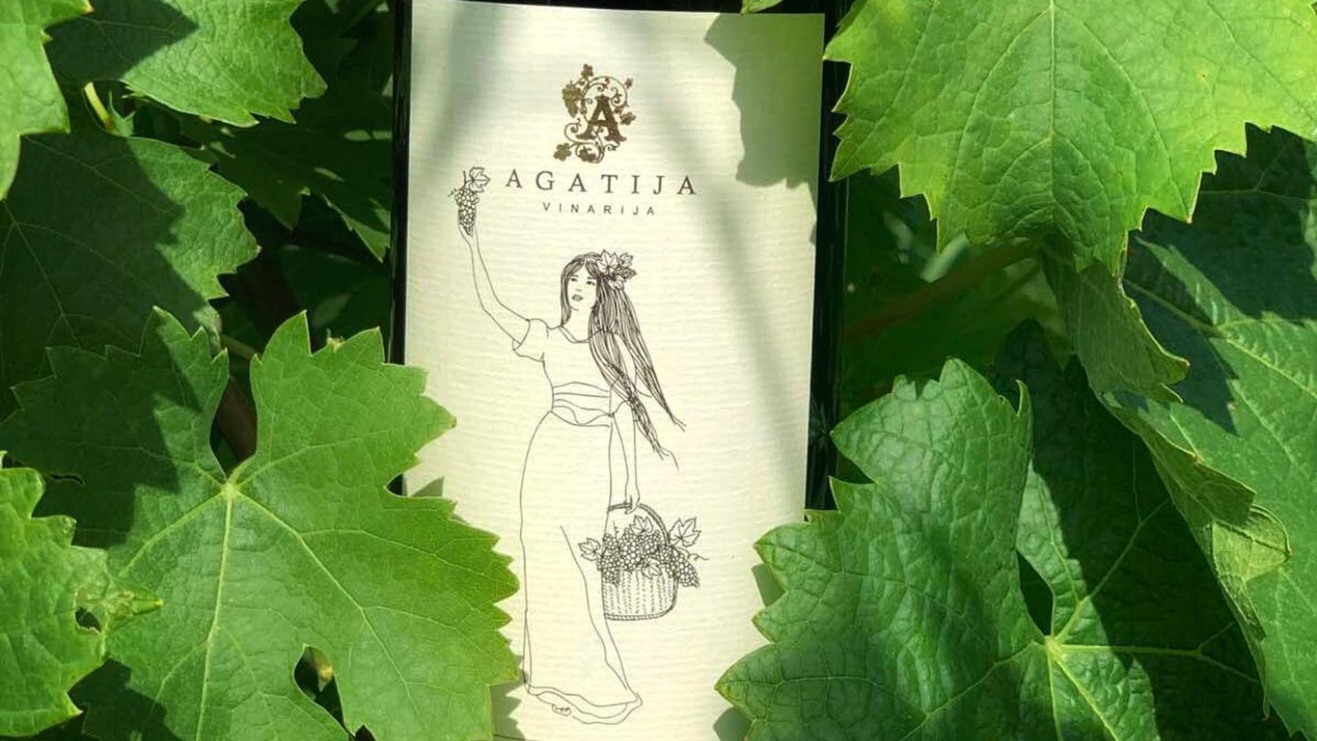 xr:d:DAFn2dMxCAk:204,j:3353326412992547035,t:23071411