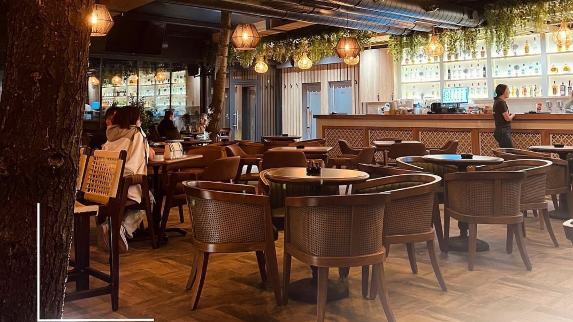 xr:d:DAFn2dMxCAk:457,j:1368384156236020641,t:24011711