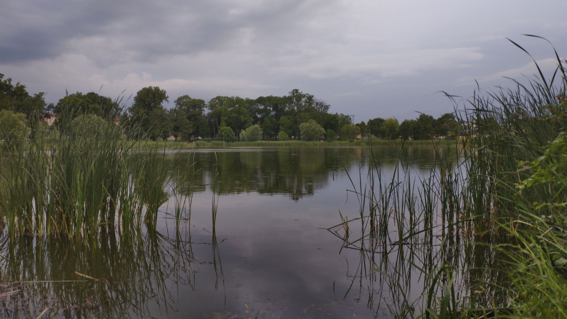 xr:d:DAFn2dMxCAk:124,j:2631624463908712251,t:23071309