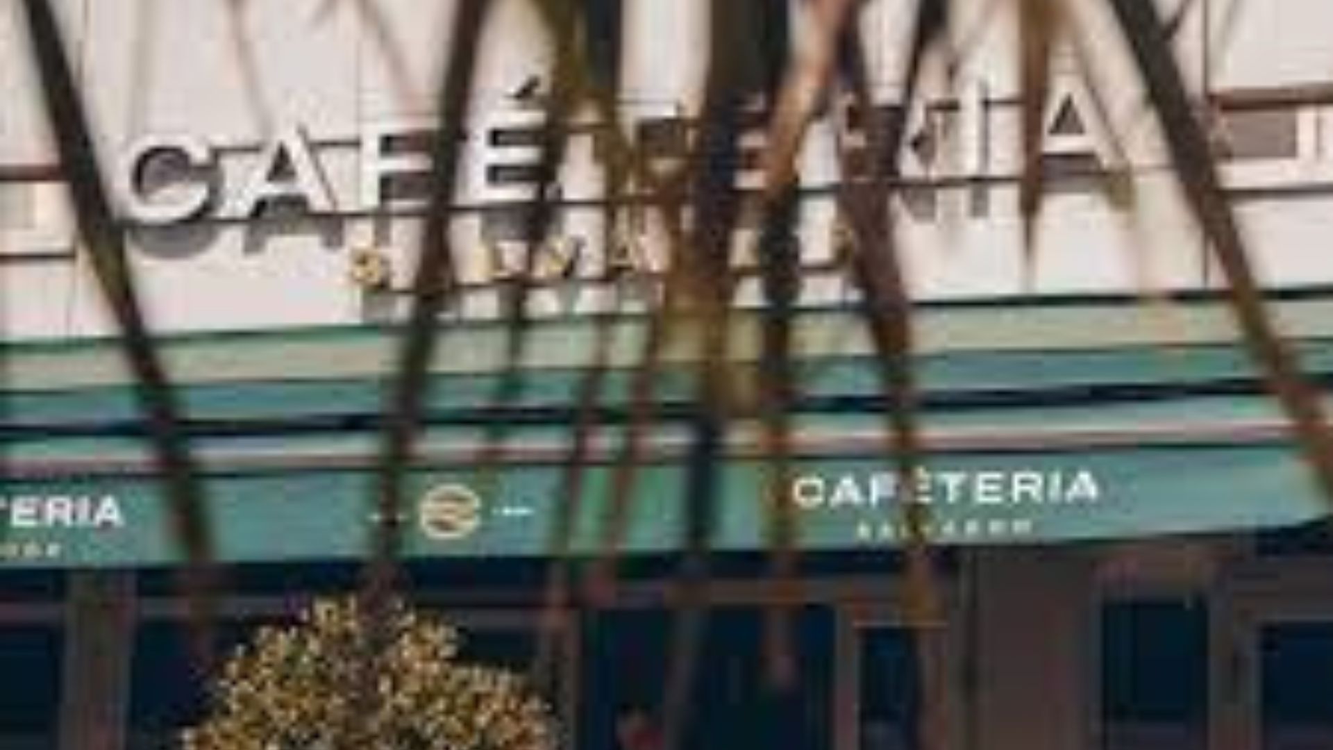 xr:d:DAFn2dMxCAk:259,j:7465113289381516708,t:23071812