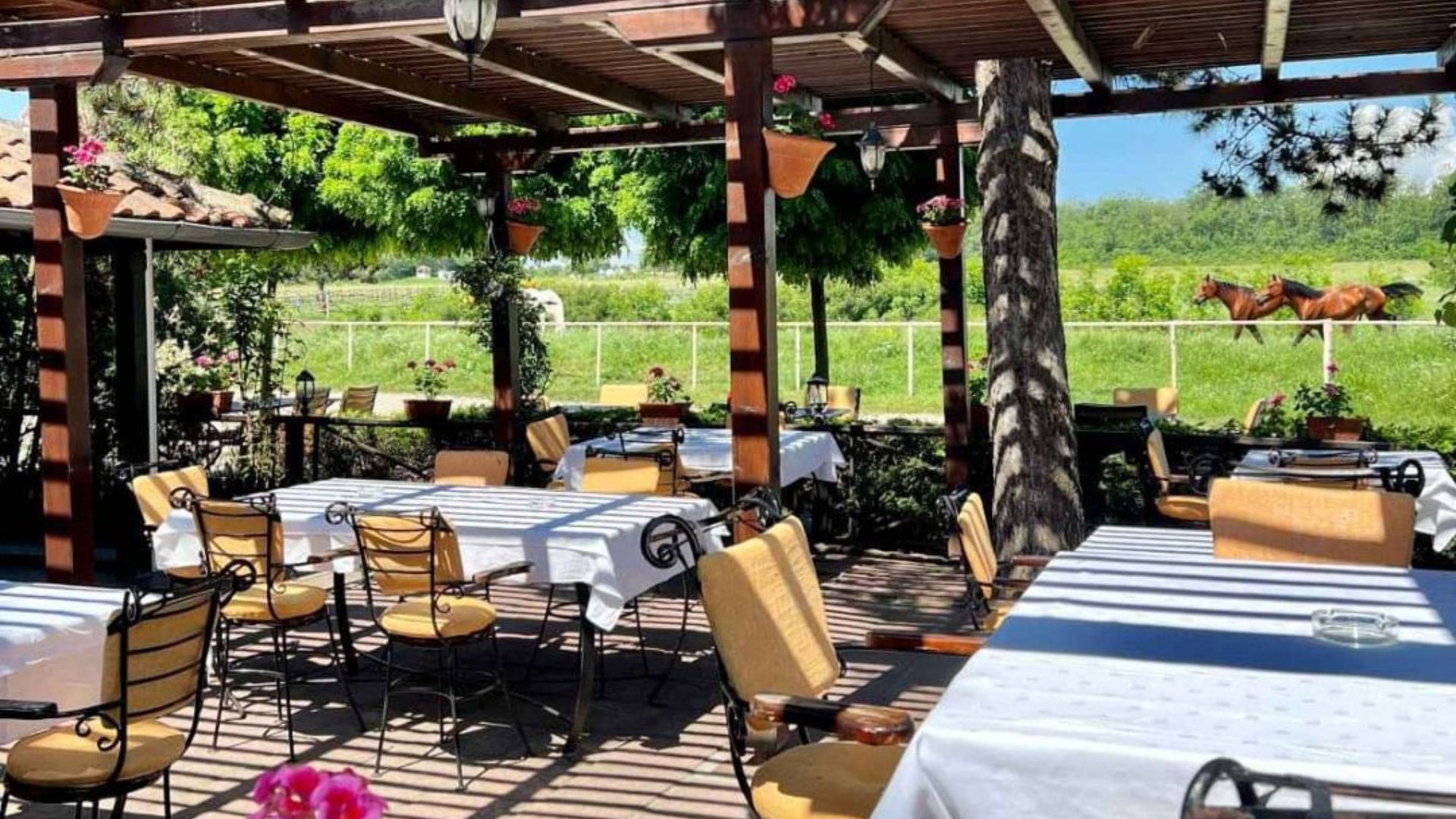 xr:d:DAFn2dMxCAk:335,j:1783822463136845651,t:23071912